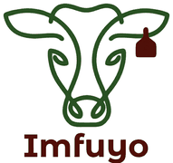 Imfuyo